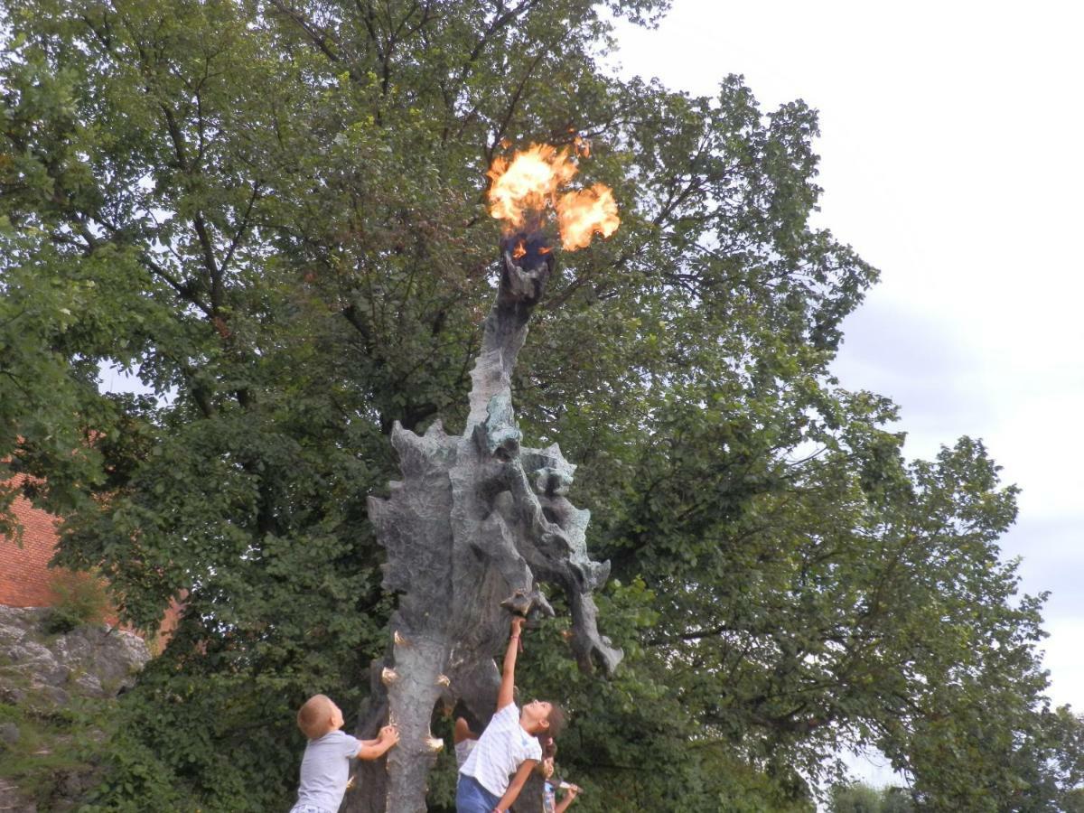 Ap Na Groblach Krakow Dış mekan fotoğraf